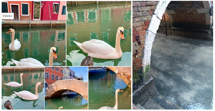 Venezia_pandemia_swan